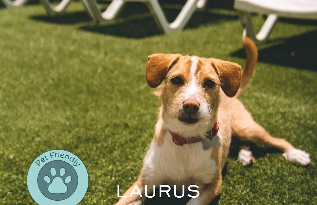 Laurus Hotel-1
